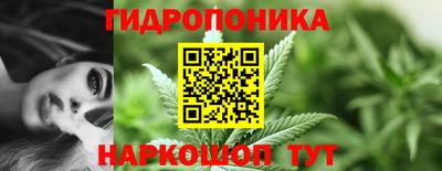 сатива Гусь-Хрустальный
