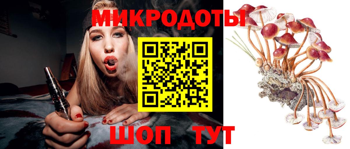 купить  сайты  Псилоцибиновые грибы Magic Shrooms  Псилоцибиновые грибы Cubensis  Вход с VPN  Михайловск 